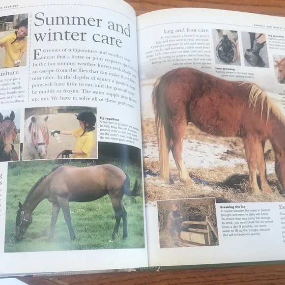 Horse & Pony Encyclopedia - Hardcover Book - Picture 4 of 7